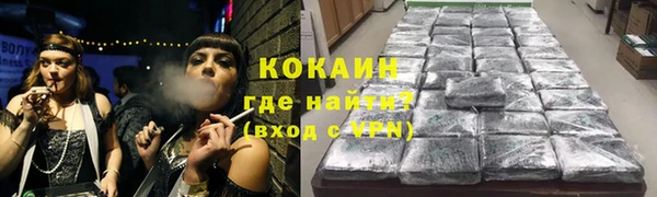 прущие грибы Балабаново