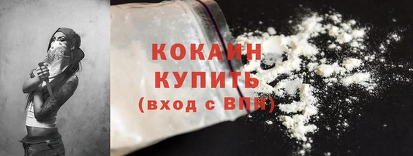 прущие грибы Балабаново