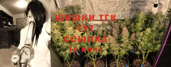 прущие грибы Балабаново