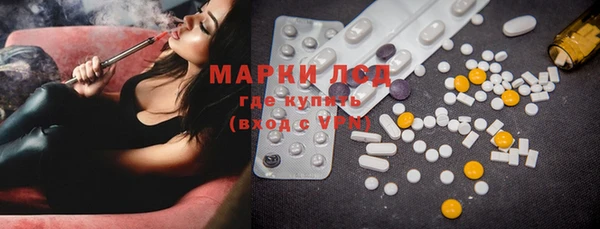 прущие грибы Балабаново