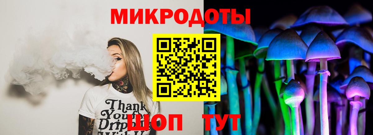 Соль-Илецк  Псилоцибиновые грибы Psilocybe  Вход с VPN 
